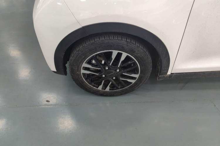 Used Chery Little Ant 2024 251km True Love Edition