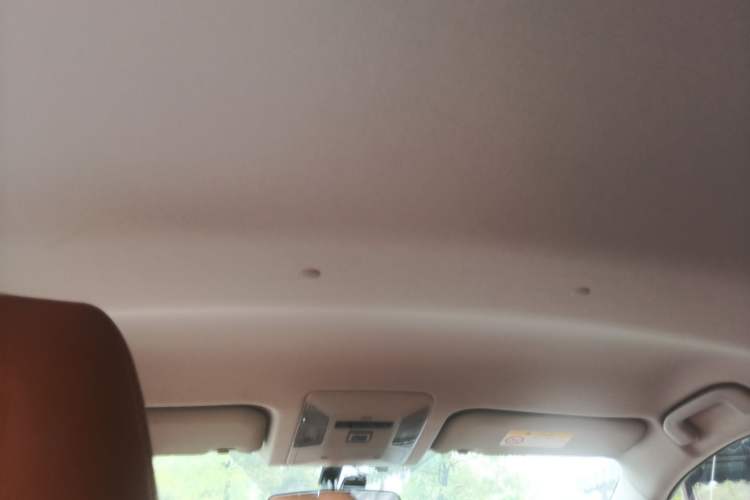 Used Toyota Wildlander 2023 2.0L CVT Two-Wheel Drive Leading Edition Headliner