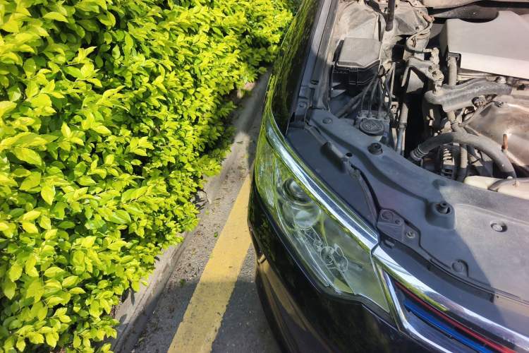 Used Toyota Camry 2016 2.0E 10th Anniversary Elite Edition