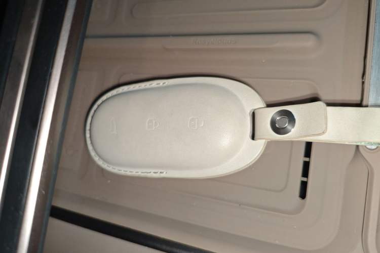 Used Li Auto MEGA 2025 Home Family Special Edition
