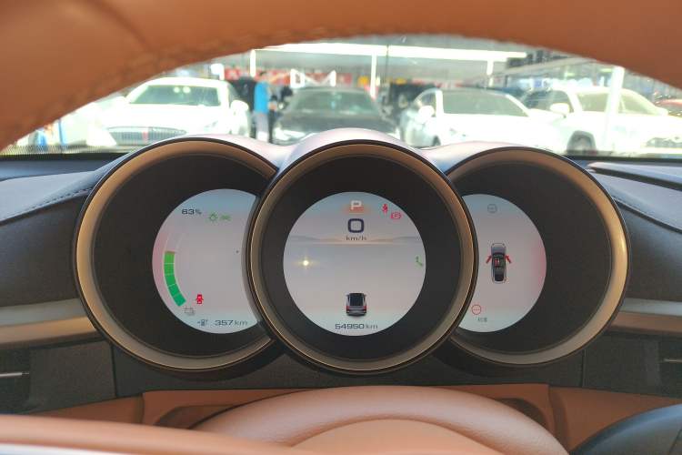 Used ORA Lightning Cat 2022 555 km Luxury Edition
