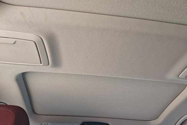 Used BMW 5 Series 2021 530Li Leading Luxury Package Headliner