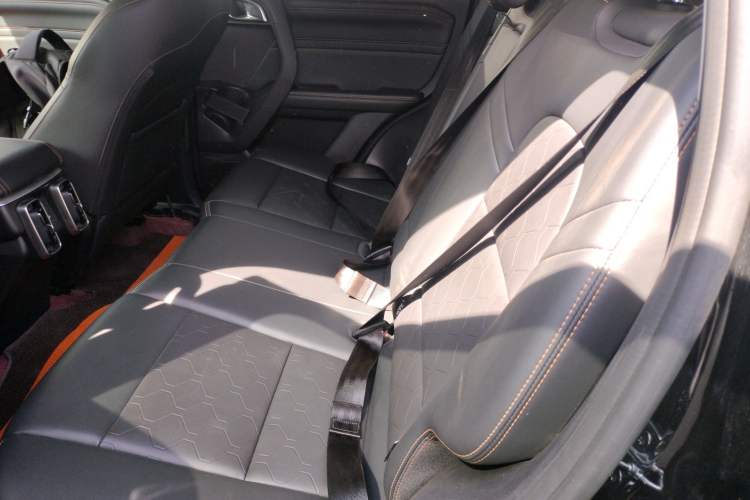 Used Haval DARGO 2024 2.0T DCT Chinese Rural Dog Edition
