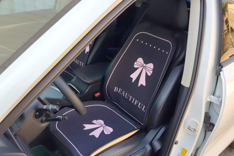 Used Bestune T55 2023 1.5T Automatic Leap Model Left Front Seat