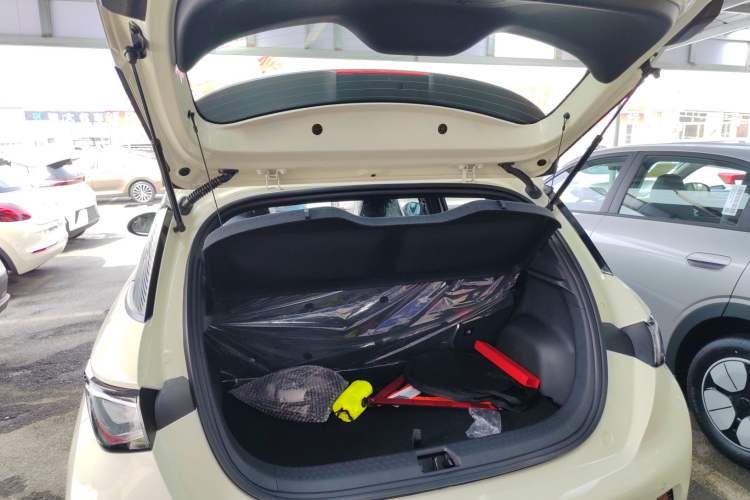 Used BYD Dolphin 2025 420km Free Edition