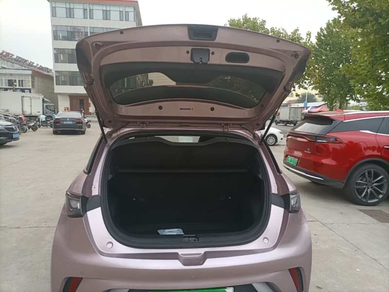 Used BYD Dolphin 2023 420 km Free Version — 18