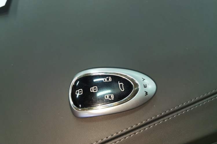 Used Wey Gaoshan 2023 Four-Wheel-Drive Executive Extended Version
