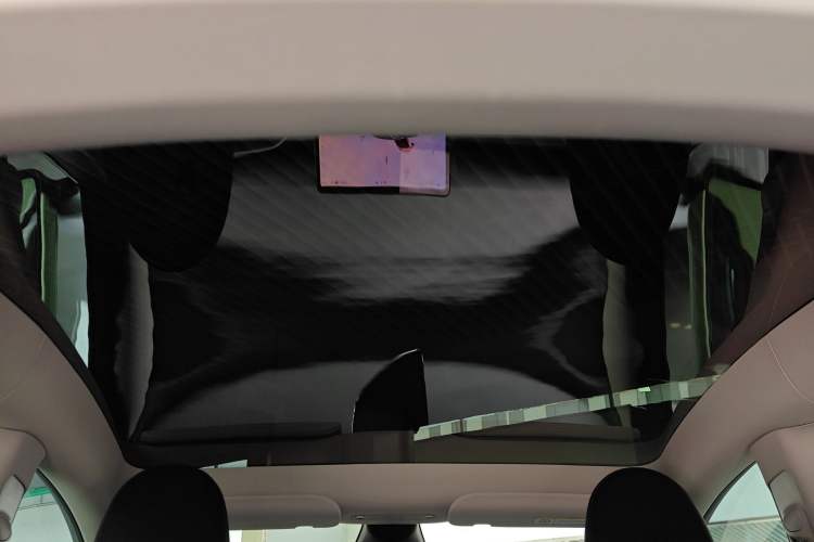 Used Tesla Model Y 2022 Performance High-Performance All-Wheel-Drive Version Headliner