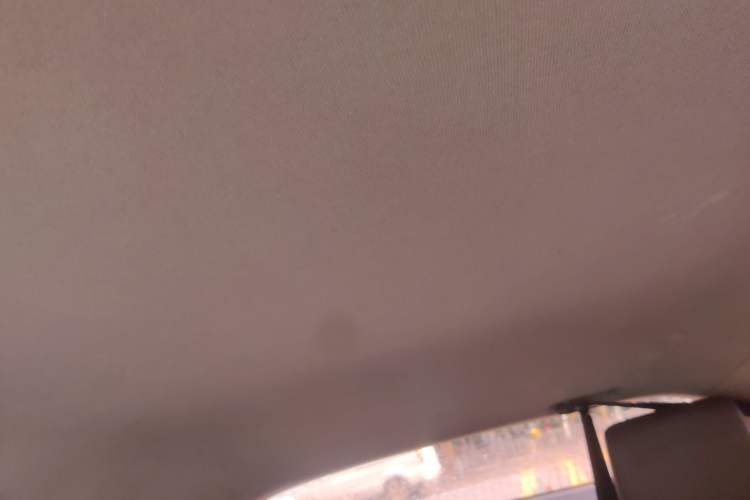 Used BYD e2 2021 Luxury Model Headliner