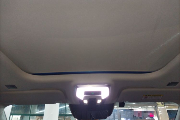 Used Hongqi E-HS9 2021 460 km Range Flagship Edition Six-Seater
