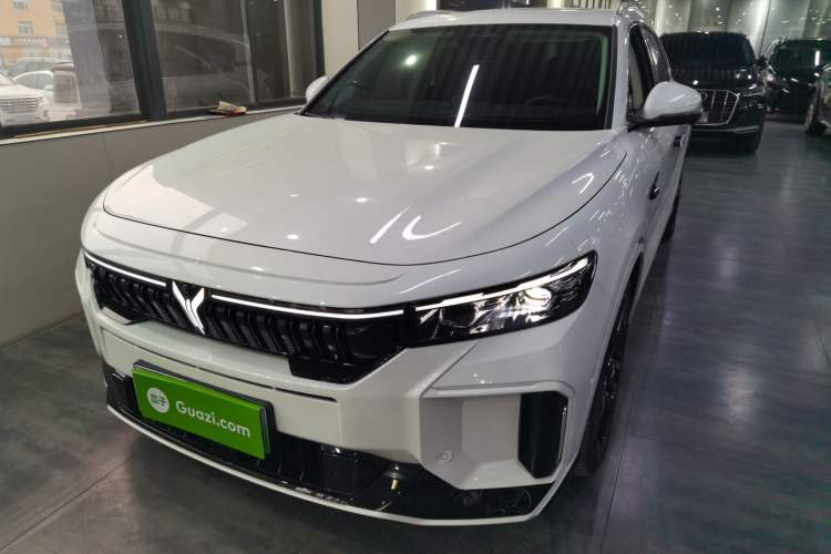 Used VOYAH FREE 2024 Ultra-Long Range Intelligent Driving Version