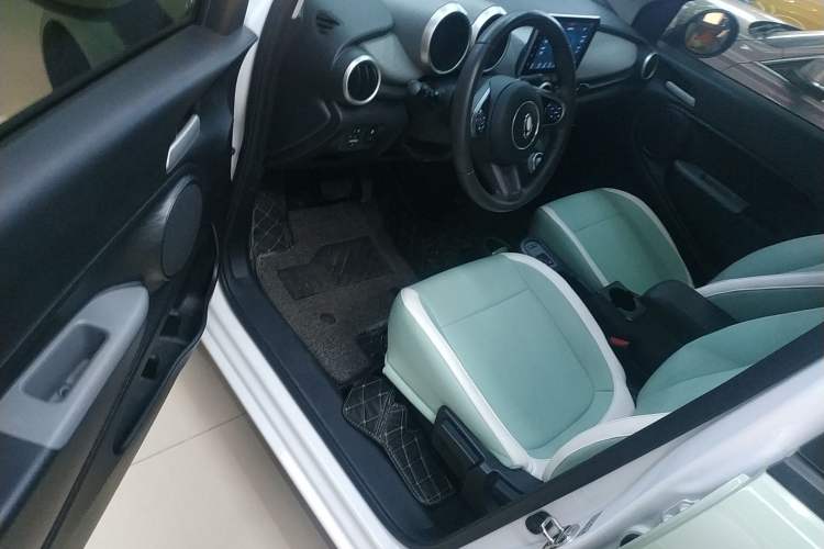 Used ORA Black Cat 2022 301km "Cute Pet" Version – Lithium Iron Phosphate