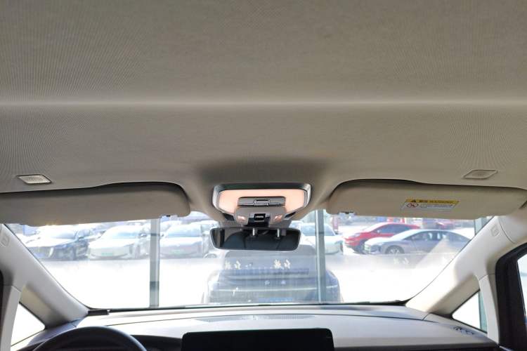 Used Hongqi HQ9 2023 2.0T Smart Connect Flagship Edition Headliner