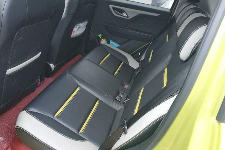 Used SOL E10X 2022 Flower Fairy Style Baby's Breath
