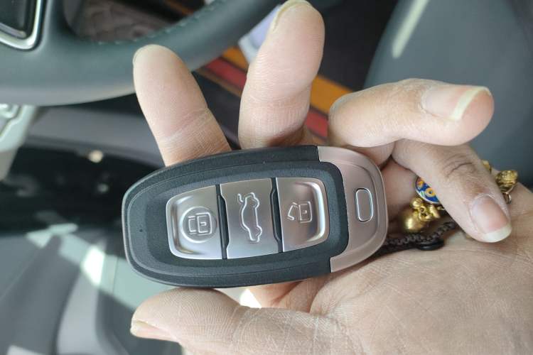 Used Hongqi E-QM5 2023 620km PLUS
