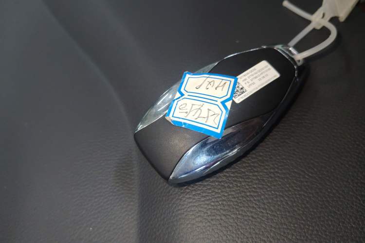 Used Hongqi HQ9 2023 2.0T Smart Connect Flagship Edition