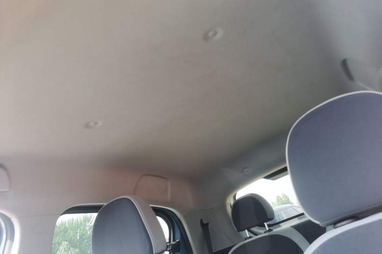 Used ORA Black Cat 2021 301 km Basic Version Headliner