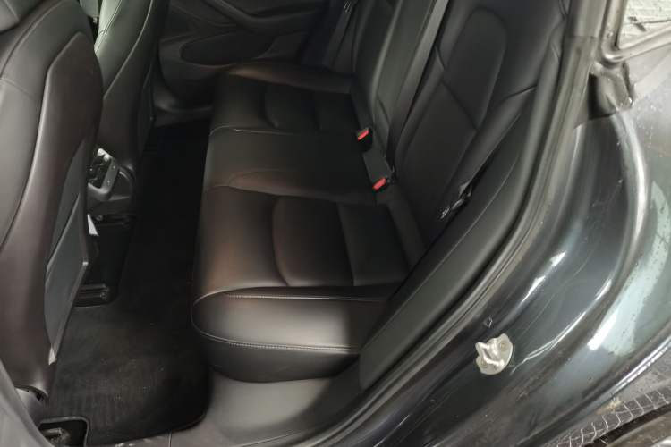 Used Tesla Model 3 (Import) 2019 Long-Range Rear-Wheel-Drive Version
