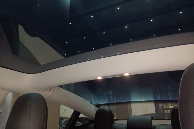 Used Tesla Model 3 2022 Rear-Wheel-Drive Version Headliner