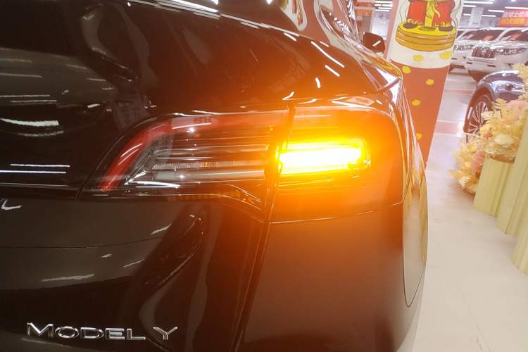 Used Tesla Model Y 2021 Standard Range Rear-Wheel Drive Version
