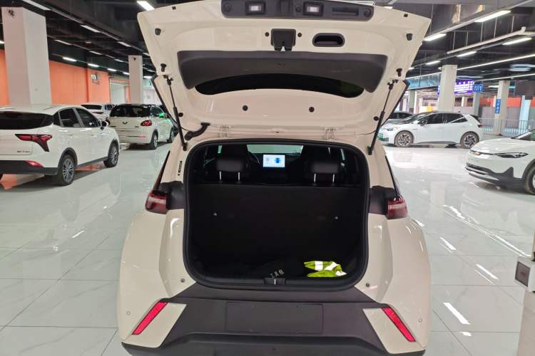 Used BYD Seagull 2024 Honor Edition 305km Dynamic Version
