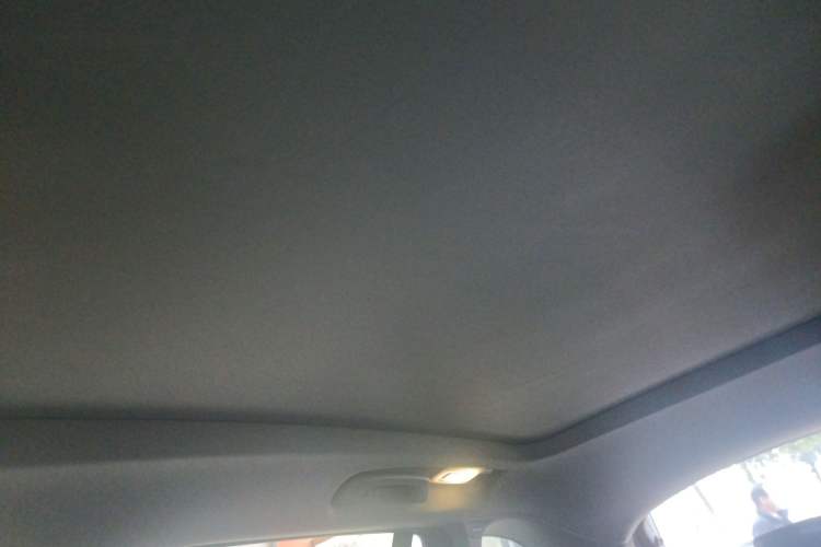 Used BMW X1 2019 sDrive20Li Leading Model Headliner