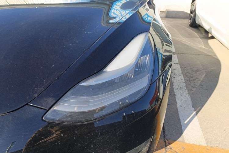 Used Tesla Model 3 (Import) 2019 Long-Range Rear-Wheel-Drive Version
