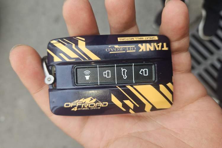 Used Tank 300 New Energy 2025 Hi4-T
