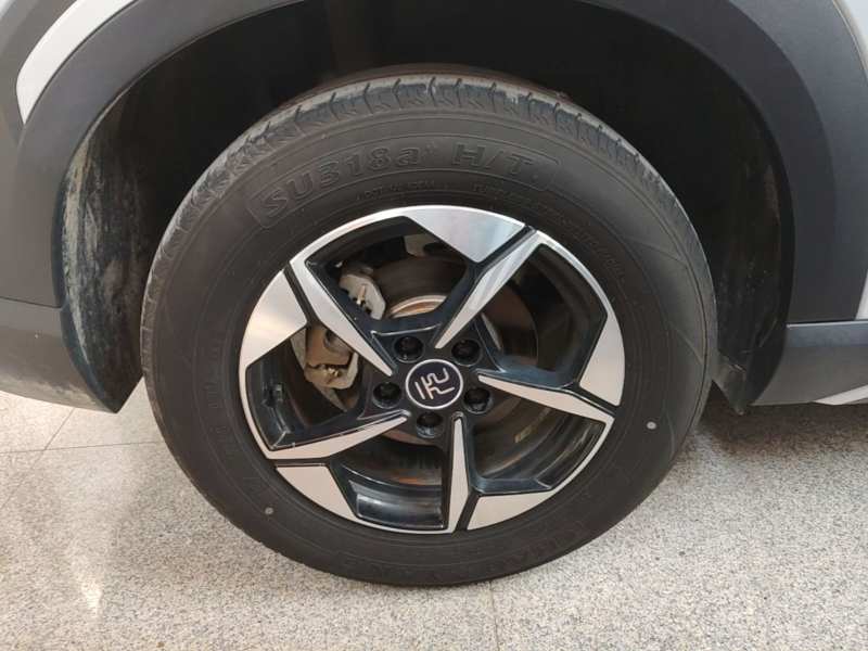 Used BYD Yuan UP 2024 401KM Leading Edition — 25