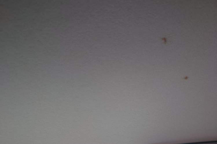 Used Chery QQ Ice Cream 2022 170km Sundae Phosphate Lithium-Ion
