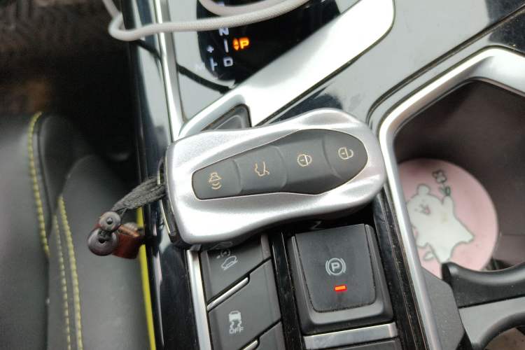 Used Geely Auto Monjaro S 2021 2.0TD Automatic Two-Wheel Drive Lightning Edition