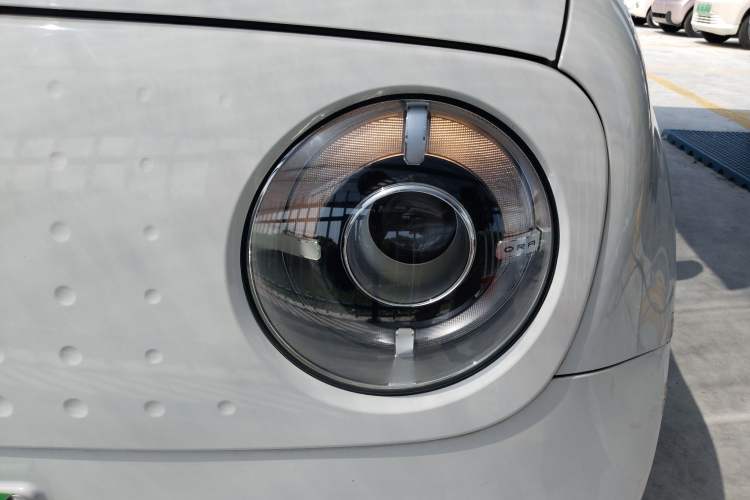 Used ORA Black Cat 2021 301 km Basic Version
