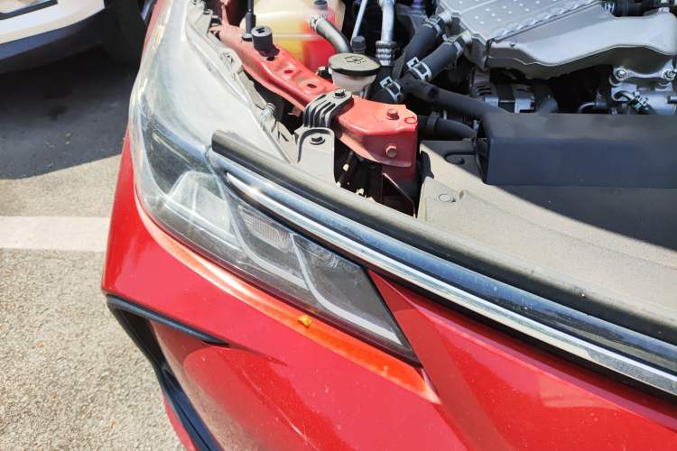 Used Toyota Corolla 2019 1.2T S-CVT GL-i Elite Edition
