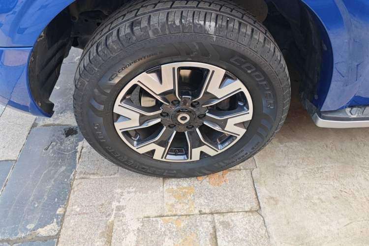 Used Great Wall Poer 2021 2.0T Global Version Automatic Gasoline 4x4 Comfort Trim Standard Cab GW4C20B
