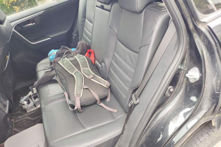 Used Toyota RAV4 2022 2.0L CVT Two-Wheel Drive Fashion Plus Edition Left Rear Seat