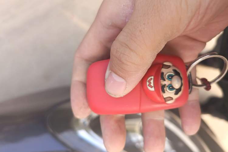 Used Leapmotor T03 2023 310 Lite Edition Vehicle Key