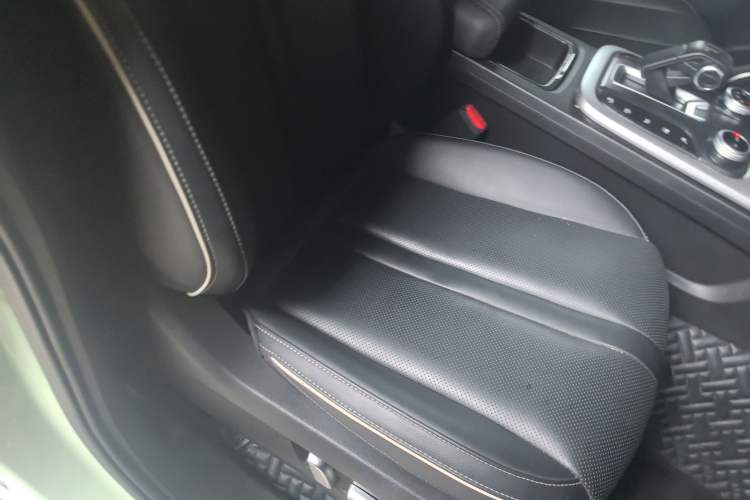 Used Tank 300 2024 2.0T Crosser
