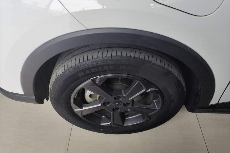 Used Geometry E Firefly 2023 320KM Cute & Handsome Tiger 5 Seats Left Front Wheel Hub