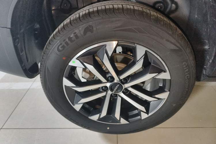 Used Haval DARGO 2026 Model 2.0T DCT Chinese Rural Dog Edition
