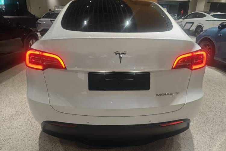Used Tesla Model Y 2021 Standard Range Rear-Wheel Drive Version Rear