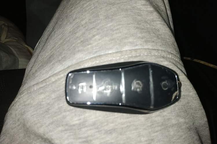 Used BYD Dolphin 2024 Honor Edition 420km Freedom Version