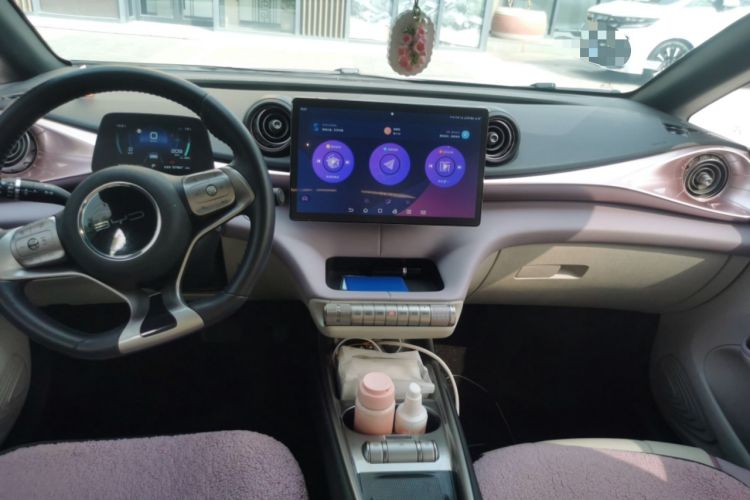 Used BYD Dolphin 2021 401km Knight Edition Center Console