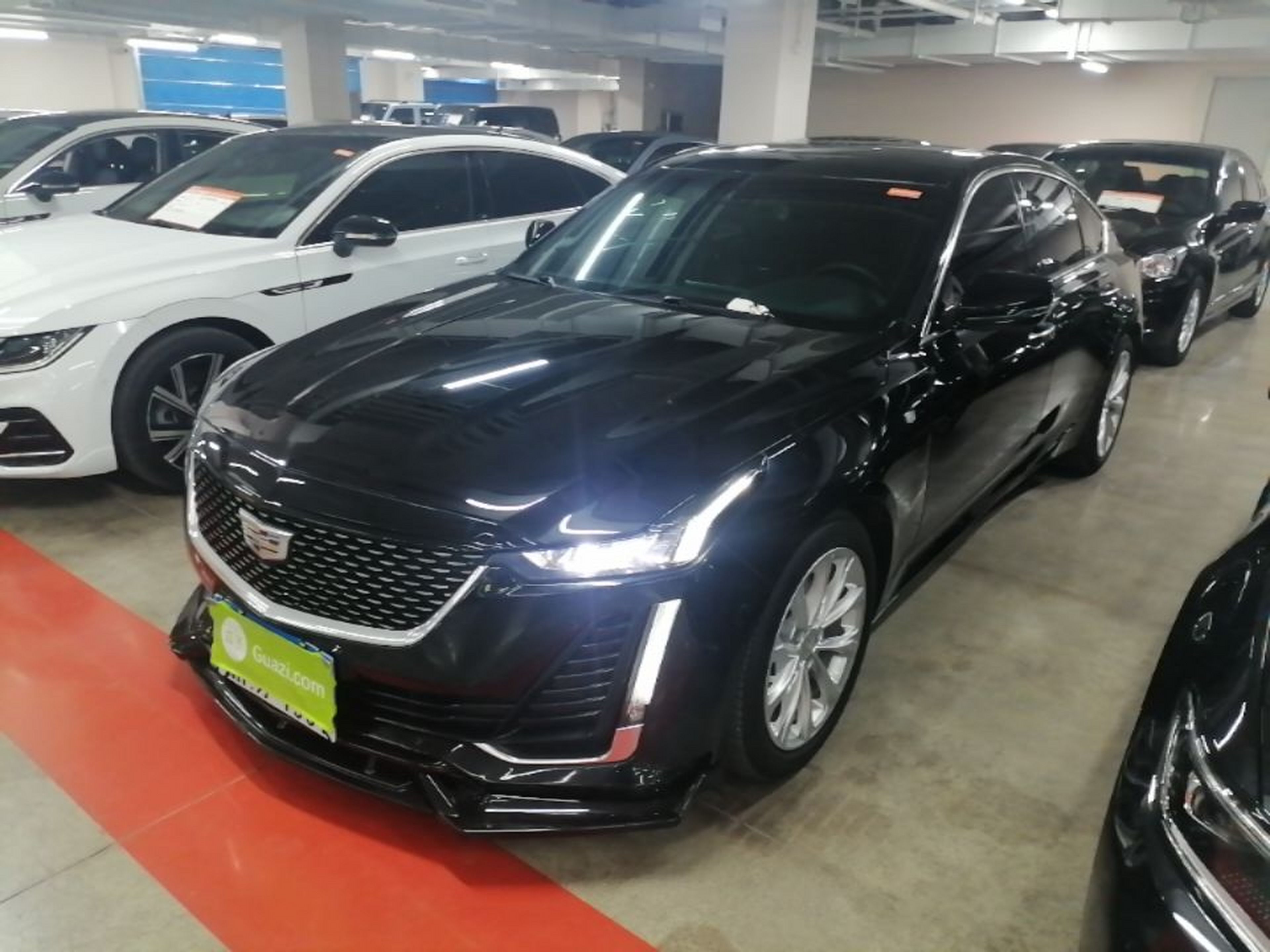 Under Front Bumper