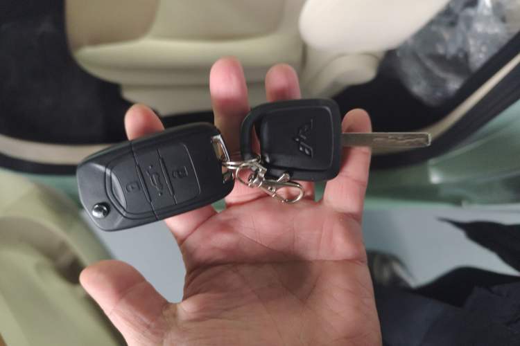 Used Wuling Hongguang MINIEV 2024 3rd Generation 215km Youth Edition
