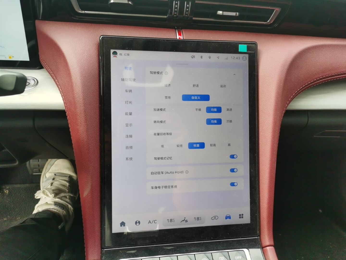 Hongqi H5 PHEV 2025 130 Super Hybrid Version — снимка 15
