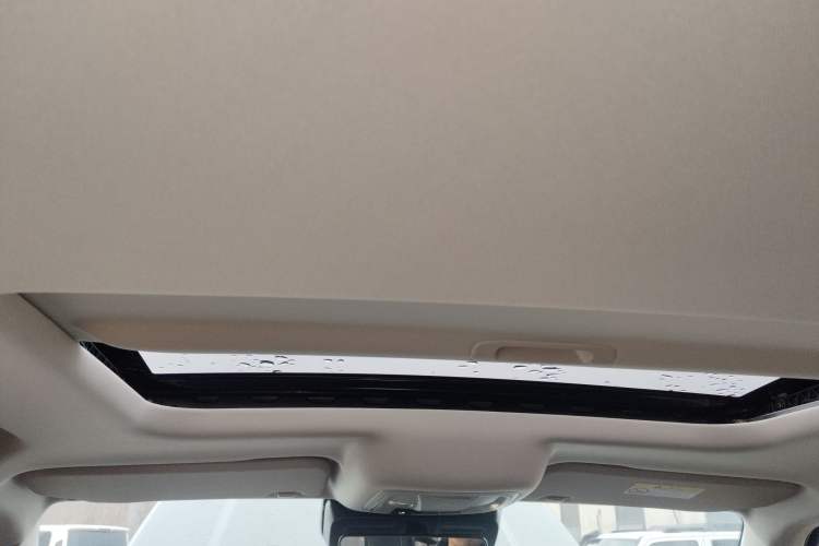 Used Tank 300 2024 2.0T Conqueror
