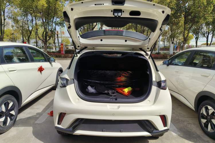 Used BYD Dolphin 2025 420km Free Edition
