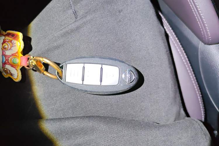 Used Nissan Qashqai 2022 2.0L CVT XV Prem·Night Edition