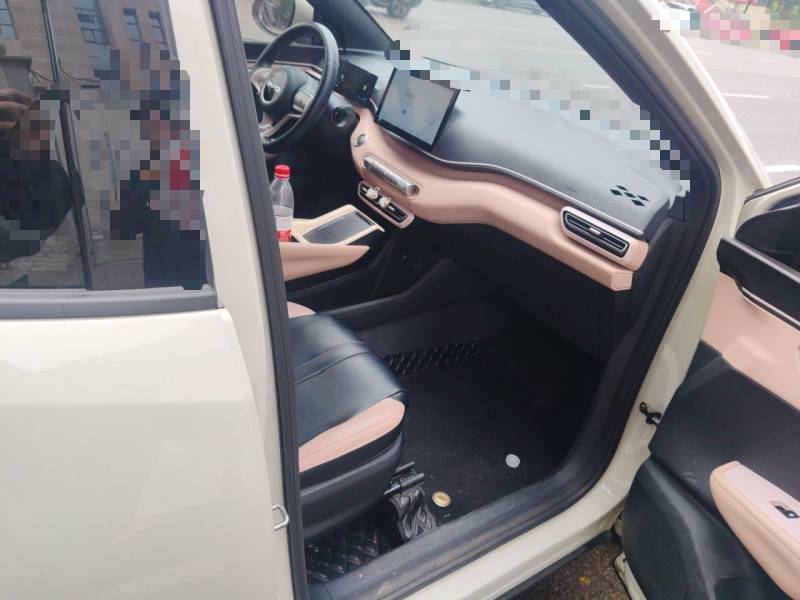 Used BYD Seagull 2023 Free Edition — 20
