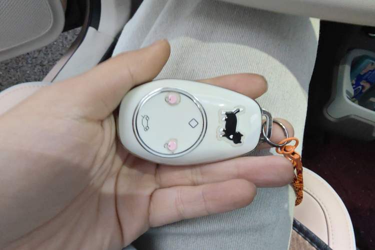 Used Leapmotor T03 2024 403 Comfort Edition